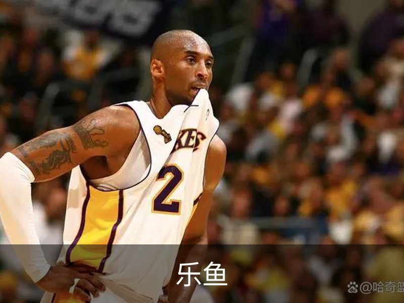 了解乐鱼